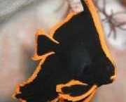 Platax pinnatus Červené šove-sourris